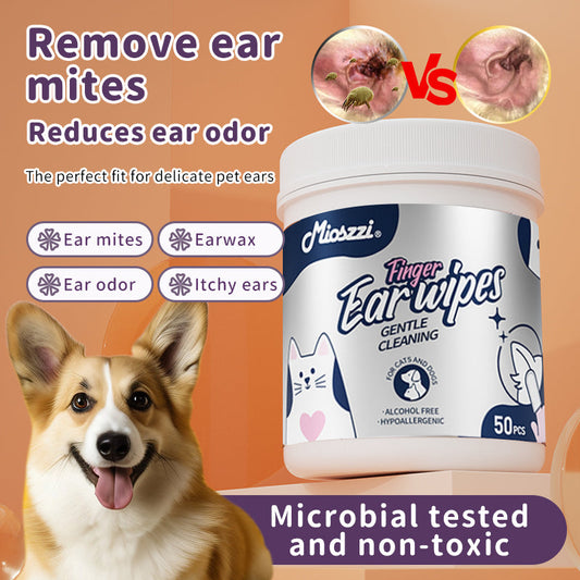 Common Causes of Pet Ear Odor