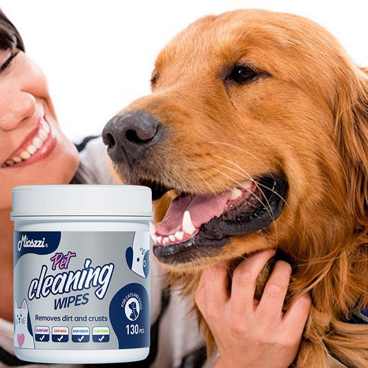 This design balances practicality and pet comfort.