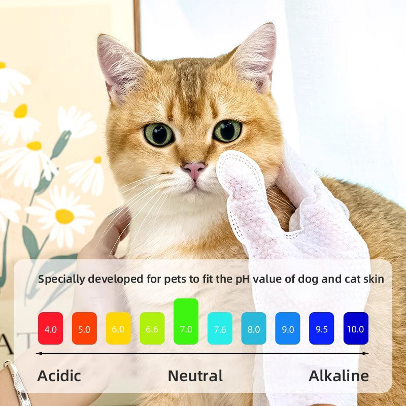 1. Gently removes dirt, debris and odors. Super strong deodorizing ability.
2. Infused with fermented coconut oil, nourishes and smoothes hair.
3. Removes sweat and dirt while fighting bacteria.
4. Fresh coconut scent calms and soothes pets' emotions, making pets fall in love with cleaning.
5. Multi-purpose pet glove wipes for cleaning body and ear wax.