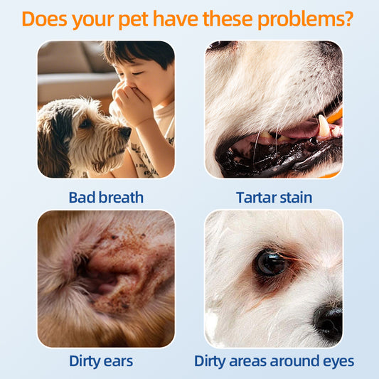 1. Contains aloe vera essence and vitamin E, effectively moisturizing the skin and hair while cleaning.
2. With a pet-friendly formula, the wipes do not contain dyes and bleach, gently caring for pets' skin.
3. Safely and efficiently remove sweat, body oil, and stubborn dirt, effectively deodorize and inhibit bacterial growth, keeping the pet's body surface fresh.
4. With super cleaning power, it thoroughly cleans deep into the pores and effectively relieves itching problems caused by dirt.