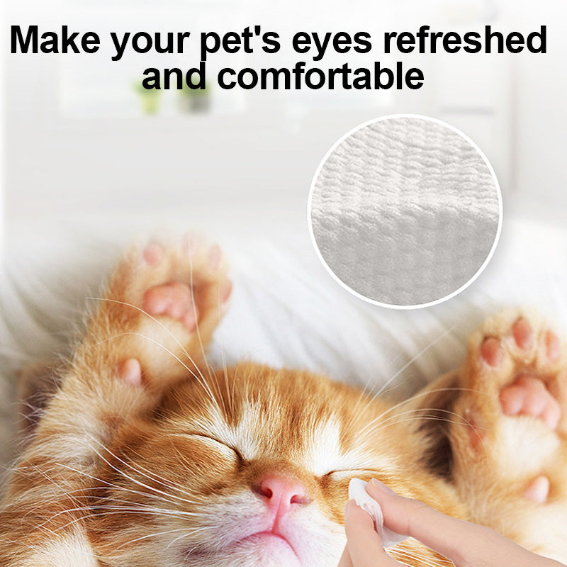 1. Added with aloe vera essence and fermented coconut oil, it cleans and deeply moisturizes pet skin and hair.
2. It does not contain dyes, bleach, etc., is gentle and non-irritating, suitable for cats and dogs, and can also be used by sensitive pets.
3. Removes sweat, body oil and stubborn dirt, deeply deodorizes and inhibits bacterial growth, and cleans more thoroughly.
4. The cleaning power reaches the root of the hair directly, and deeply cleans without residue, and the low-irritation formula reduces