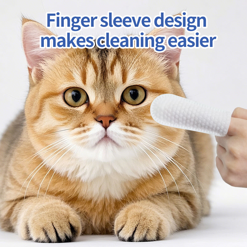 1. Gently remove dirt, debris, and odors. And has excellent deodorizing ability, bringing a refreshing experience to pets.
2. Added fermented coconut oil, tea tree oil, and aloe vera extract ingredients to deeply nourish the hair and smooth frizz.
3. Effectively remove sweat and dirt, while playing an antibacterial role to protect the health of pets.
4. Exuding a refreshing coconut aroma, it can calm and soothe the tension of pets, allowing pets to enjoy cleaning.
5. Multifunctional pet finger wipes,