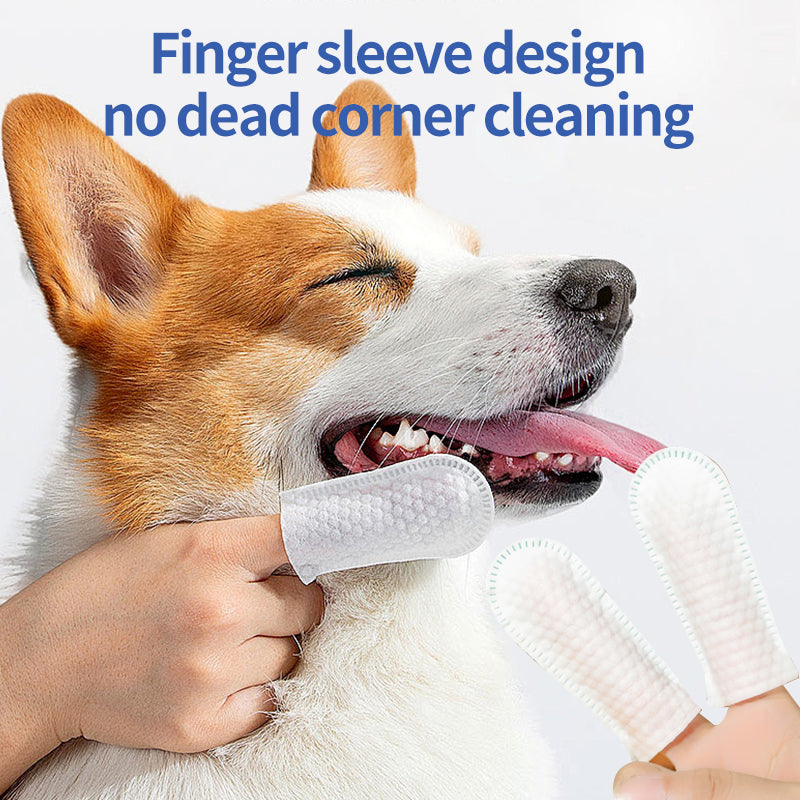 1. Gently remove dirt, debris, and odors. And has excellent deodorizing ability, bringing a refreshing experience to pets.
2. Added fermented coconut oil, tea tree oil, and aloe vera extract ingredients to deeply nourish the hair and smooth frizz.
3. Effectively remove sweat and dirt, while playing an antibacterial role to protect the health of pets.
4. Exuding a refreshing coconut aroma, it can calm and soothe the tension of pets, allowing pets to enjoy cleaning.
5. Multifunctional pet finger wipes,