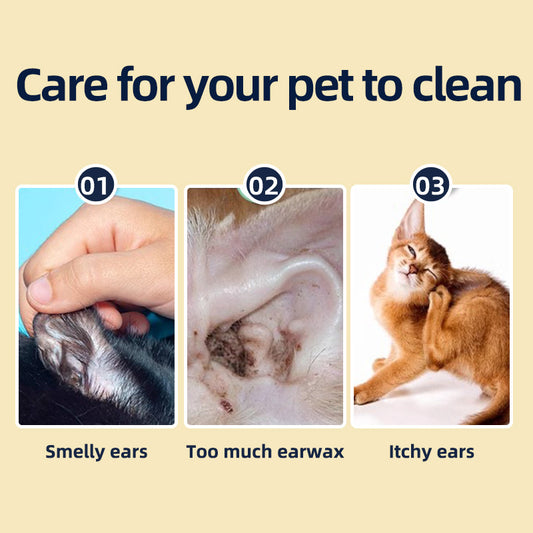 1. Water-based wipes, super absorbent, moisturizing pet skin.
2. Plant-based non-woven fabric, super thick and ultra-soft, tear resistant.
3. Deodorant wipes to effectively remove unpleasant odors.
4. Hypoallergenic formula, safe for cats and dogs.
5. Clean paws and skin, canned beauty finger wipes.