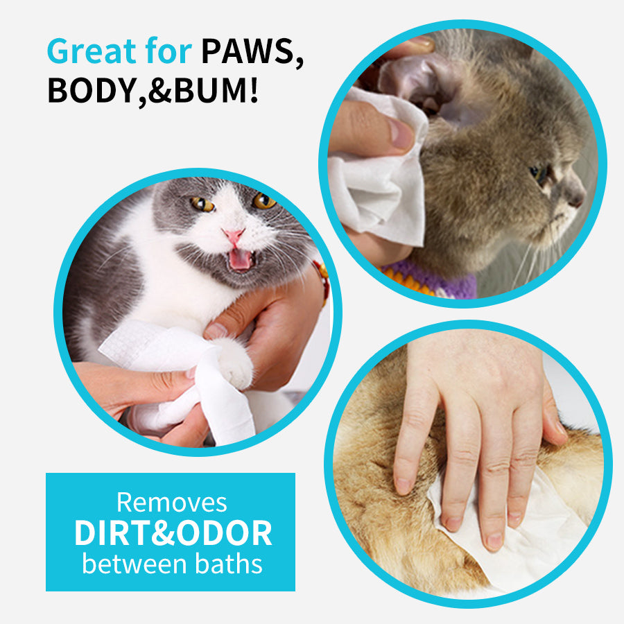 1. General-purpose wipes, designed for daily cleaning of pets, suitable for skin and hair care.
2. EDI pure water formula, mild and hypoallergenic formula, safer for sensitive skin.
3. Inhibit bacterial growth, significantly reduce dandruff production, and deepen decontamination more thoroughly.
4. Double-layer sealing design, leak-proof and moisture-locking, keep pets fresh for a long time during long journeys.
5. The larger and thicker single piece covers an area of 30%, the pearl pattern enhances fri