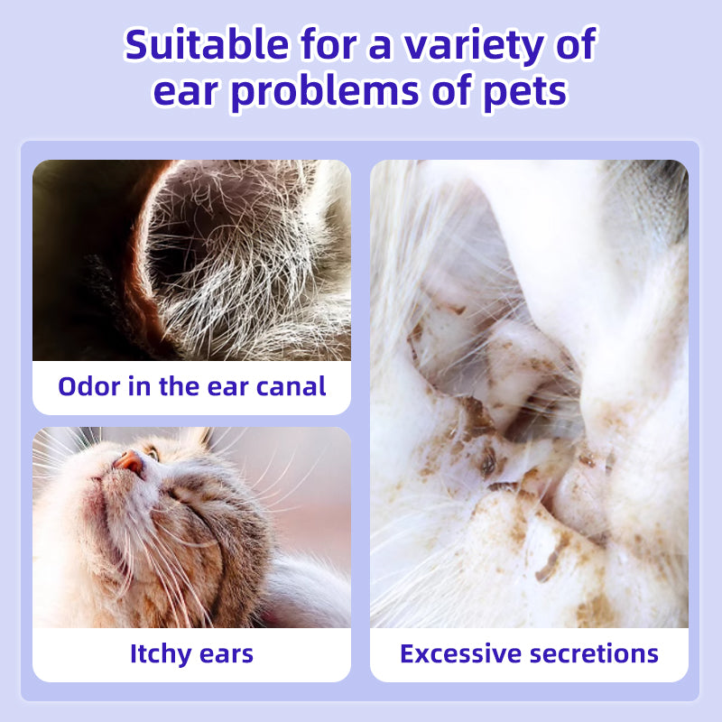 1. Soothing cleansing formula that cleans anal and anal gland hygiene, leaving pets refreshed and comfortable.
2. Antibacterial deodorant pet wipes that effectively kill bacteria.
3. Cleaning and deodorizing wipes, gently remove dirt, debris and odors.
4. Universal pet wipes, suitable for cats, dogs, rabbits and hamsters.
5. Finger wipes can clean 360 degrees in all directions without missing anything.