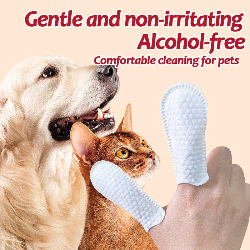 1. Made with a cleansing formula that cleans private areas and tear marks, leaving skin feeling clean and fresh.
2. Deep cleansing deodorant wipes remove dirt, dander and pet odors.
3. Added with a variety of plant-derived ingredients, cleans while moisturizing the skin and hair.
4. Antibacterial deodorant wipes that effectively stop the spread of dirt, odor and bacteria.
5. Thick plant-based non-woven dog and cat grooming wipes.