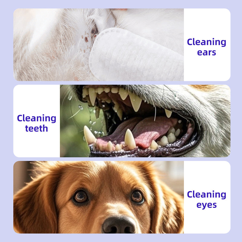 1. Infused with Aloe Vera and Vitamin E, effectively moisturizes the skin and coat while cleaning.

2. Pet-friendly wipes, no dyes, no bleach.

3. Safely removes sweat, body oils and dirt while deodorizing surfaces and fighting bacteria.

4. Super powerful, deep cleans, keeps it itch-free.

5. Powerfully cleans eye, ear, mouth, facial stains.