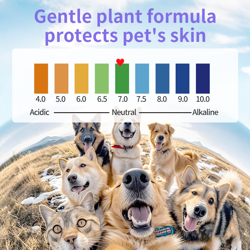 1. Water-based wipes, with excellent water absorption, moisturizing pet skin.

2. Made of plant-based non-woven material, thick, soft, and with excellent tear resistance.

3. Deodorizing wipes, effectively remove stubborn odors from pets.

4. Hypoallergenic formula, ensuring safety for cats and dogs.

5. Clean pet paws and skin, with portable canned grooming finger wipes.