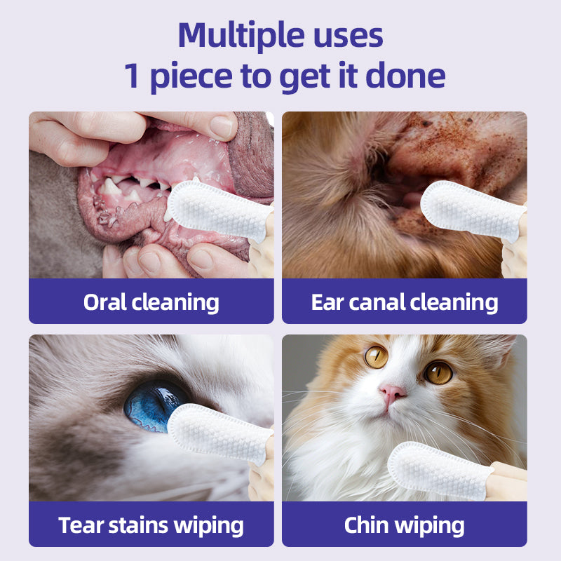 1、Finger-type wipes are more convenient to use and clean more carefully.

2、Gently remove ear wax, debris, sooths and deodorizes, relieve ear itching and inflammation.

3、Multi-purpose wipes, suitable for cleaning multiple parts of pets.

4、Exclusive formula technology, natural ingredients such as fermented coconut oil and tea tree oil are added to ensure a soothing and non-irritating experience.

5、Pet universal type, suitable for cats, dogs, rabbits, hamsters and other pets.