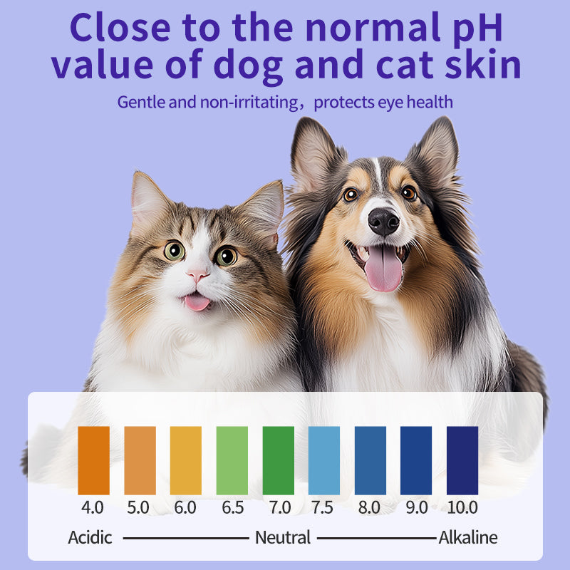 1. Safe and gentle formula: no alcohol added, specially designed for pets, safer to use.

2. Tea tree oil nourishment: contains natural tea tree oil essence, deeply nourishes hair, smoothes frizz and glows.

3. Powerful cleaning and anti-itching: effectively removes dirt and grease, while relieving pet skin itching.

4. Multi-functional cleaning wet wipes: disc shape design, flexible cleaning of pet buttocks, eyes and other sensitive areas.

5. Sealed barrel design: leak-proof barrel, wet wipes long-lasting